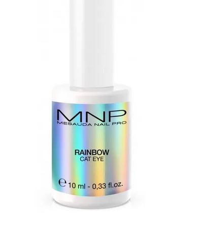 HOLOGRAPHIC HOLOGRAPHIC